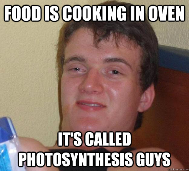 Food is cooking in oven It's called photosynthesis guys  10 Guy