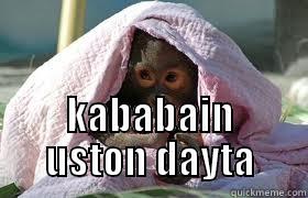 funny monkey -  KABABAIN USTON DAYTA Misc