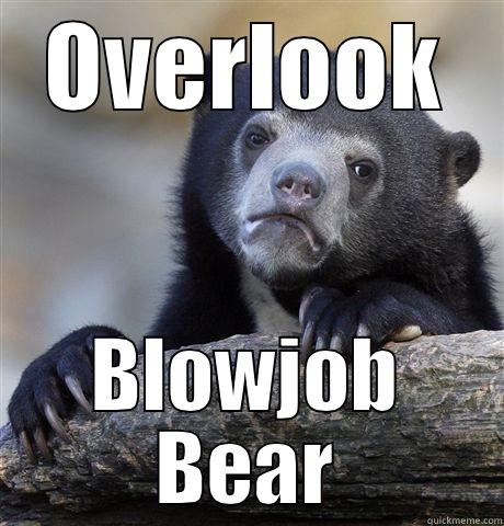 OVERLOOK BLOWJOB BEAR Confession Bear