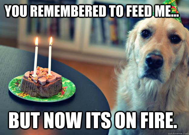 You remembered to feed me... but now its on fire.  Sad Birthday Dog