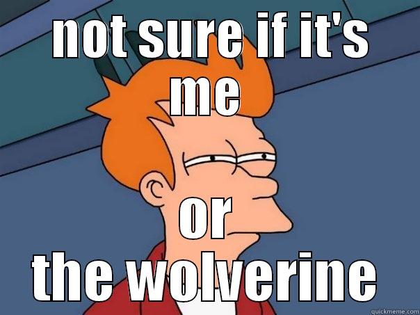  NOT SURE IF IT'S ME OR THE WOLVERINE Futurama Fry