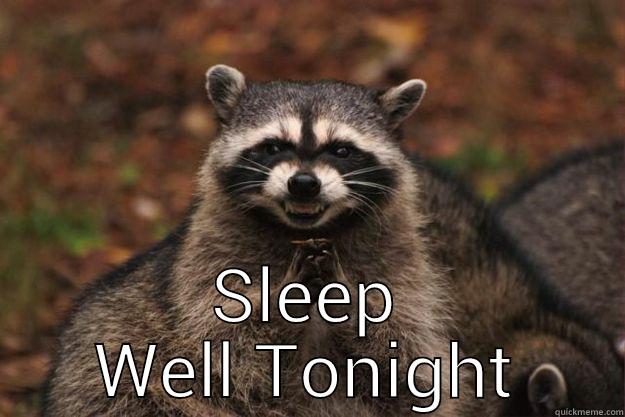  SLEEP WELL TONIGHT Evil Plotting Raccoon