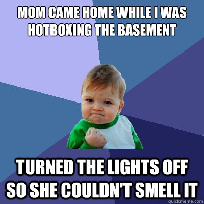 Mom came home while I was hotboxing the basement Turned the lights off so she couldn't smell it  Success Kid