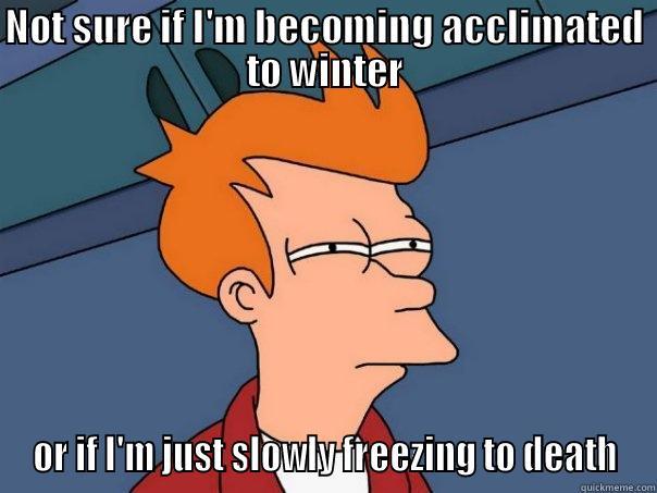 Futurama Polar Vortex - NOT SURE IF I'M BECOMING ACCLIMATED TO WINTER OR IF I'M JUST SLOWLY FREEZING TO DEATH Futurama Fry