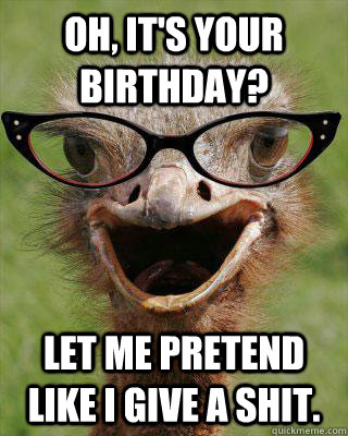 Oh, It's your BIrthday? Let me pretend like I Give a Shit.  Judgmental Bookseller Ostrich