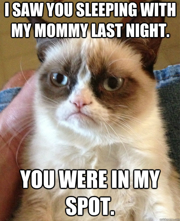 I saw you sleeping with my mommy last night. You were in my spot.  Grumpy Cat