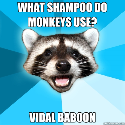 WHAT SHAMPOO DO MONKEYS USE? VIDAL BABOON - WHAT SHAMPOO DO MONKEYS USE? VIDAL BABOON  Lame Pun Coon