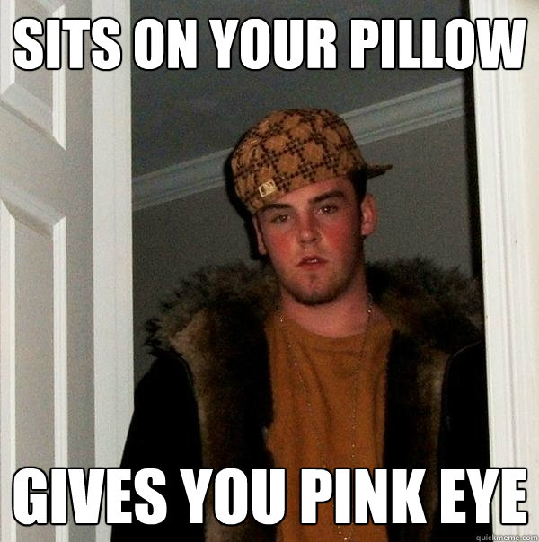 Sits on your pillow gives you pink eye - Sits on your pillow gives you pink eye  Scumbag Steve