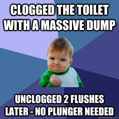 Clogged the toilet with a massive dump Unclogged 2 flushes later - no plunger needed  Success Kid