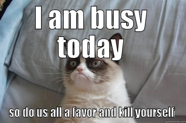 I AM BUSY TODAY SO DO US ALL A FAVOR AND KILL YOURSELF Grumpy Cat