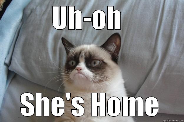 oh boy - UH-OH  SHE'S HOME Grumpy Cat