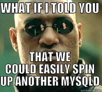 WHAT IF I TOLD YOU  THAT WE COULD EASILY SPIN UP ANOTHER MYSQLD Matrix Morpheus