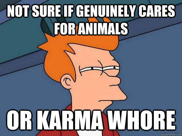 Not sure if genuinely cares for animals  Or karma whore  Futurama Fry