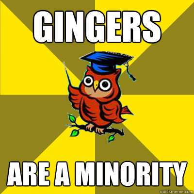 gingers are a minority  Observational Owl