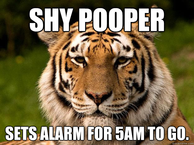 shy pooper sets alarm for 5am to go.   