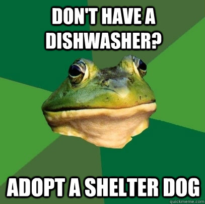 Don't have a dishwasher? Adopt a shelter dog - Don't have a dishwasher? Adopt a shelter dog  Foul Bachelor Frog