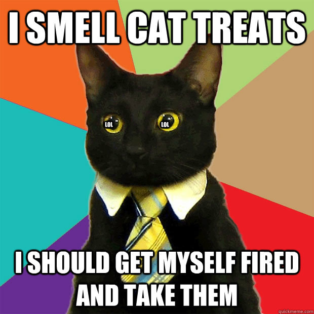 I SMELL CAT TREATS I SHOULD GET MYSELF FIRED AND TAKE THEM LOL LOL  Business Cat