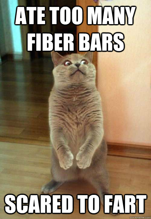 ATE too many fiber bars scared to fart  Horrorcat