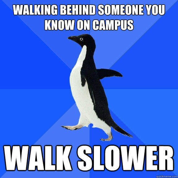 Walking behind someone you know on campus walk slower - Walking behind someone you know on campus walk slower  Socially Awkward Penguin