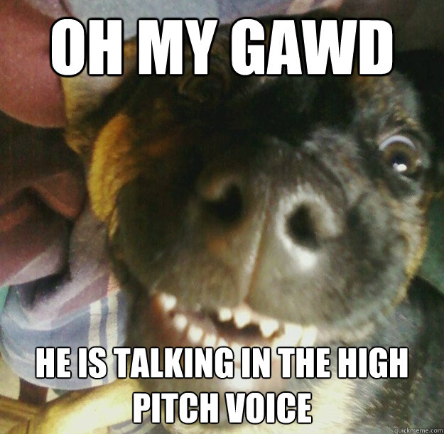 OH MY GAWD He is talking in the high pitch voice  - OH MY GAWD He is talking in the high pitch voice   All Seeing Dog