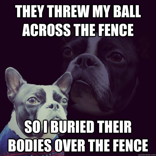 They threw my ball across the fence So I buried their bodies over the fence - They threw my ball across the fence So I buried their bodies over the fence  Vengeful Mutt