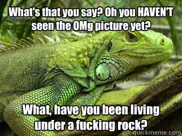 What's that you say? Oh you HAVEN'T seen the OMg picture yet? What, have you been living under a fucking rock? - What's that you say? Oh you HAVEN'T seen the OMg picture yet? What, have you been living under a fucking rock?  Irritated Iguana