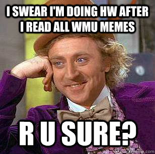 i swear i'm doing hw after i read all wmu memes r u sure?  Condescending Wonka