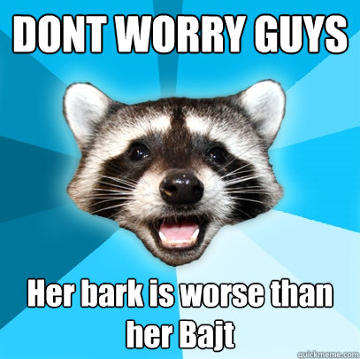 DONT WORRY GUYS Her bark is worse than her Bajt - DONT WORRY GUYS Her bark is worse than her Bajt  Lame Pun Coon