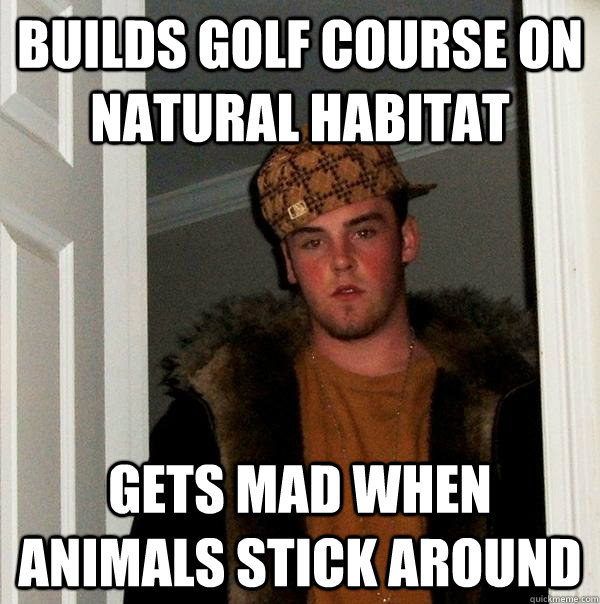 Builds golf course on natural habitat Gets mad when animals stick around  Scumbag Steve