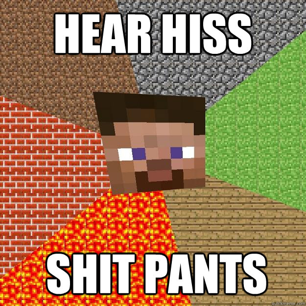 Hear Hiss Shit Pants  Minecraft