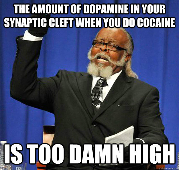 The amount of dopamine in your synaptic cleft when you do cocaine Is too damn high - The amount of dopamine in your synaptic cleft when you do cocaine Is too damn high  Jimmy McMillan