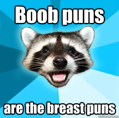 Boob puns are the breast puns  Lame Pun Coon