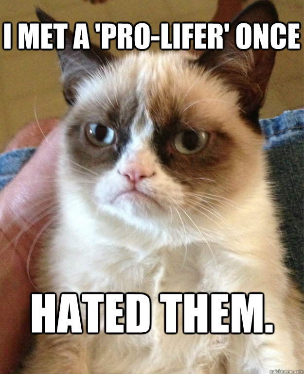 I met a 'pro-lifer' once Hated them.  Grumpy Cat