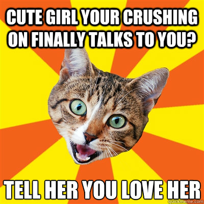 cute girl your crushing on finally talks to you? tell her you love her  Bad Advice Cat