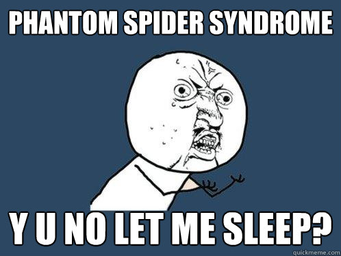 phantom spider syndrome y u no let me sleep?  Y U No