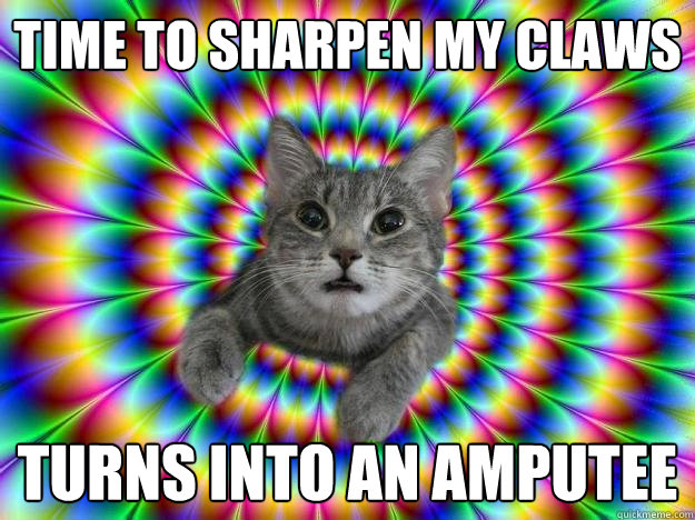 time to sharpen my claws turns into an amputee - time to sharpen my claws turns into an amputee  Addictive personality cat