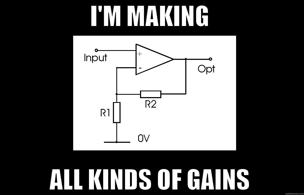 All Kinds of Gains - I'M MAKING ALL KINDS OF GAINS Misc