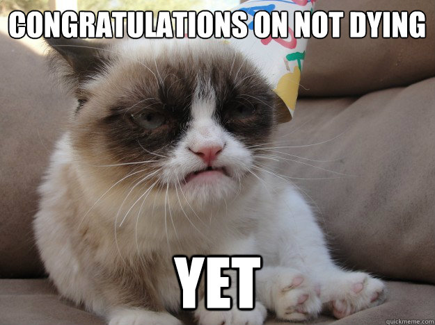 Congratulations on not dying
  yet  - Congratulations on not dying
  yet   BDgrumpycat