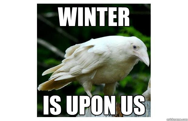 WINTER is upon us  Obvious White Raven