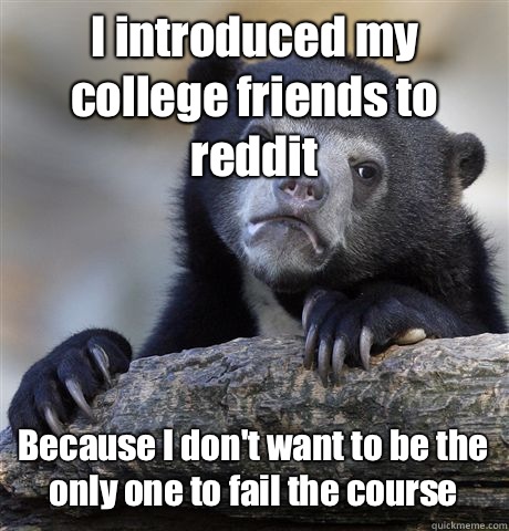 I introduced my college friends to reddit  Because I don't want to be the only one to fail the course - I introduced my college friends to reddit  Because I don't want to be the only one to fail the course  Confession Bear