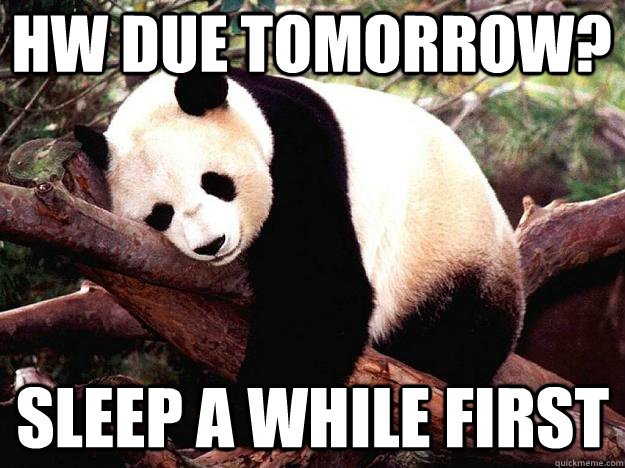 HW Due tomorrow? Sleep a while first  Procrastination Panda