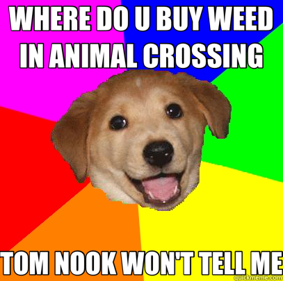 WHERE DO U BUY WEED IN ANIMAL CROSSING TOM NOOK WON'T TELL ME  Advice Dog