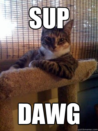 SUP dawg - SUP dawg  Cool Cat