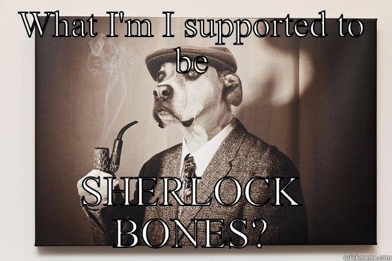 And who is this supposed to be - WHAT I'M I SUPPORTED TO BE SHERLOCK BONES? Misc