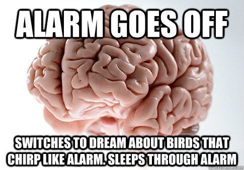 Alarm goes off switches to dream about birds that chirp like alarm. sleeps through alarm  Scumbag Brain