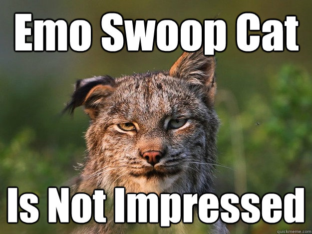 Emo Swoop Cat Is Not Impressed  Emo Swoop Cat