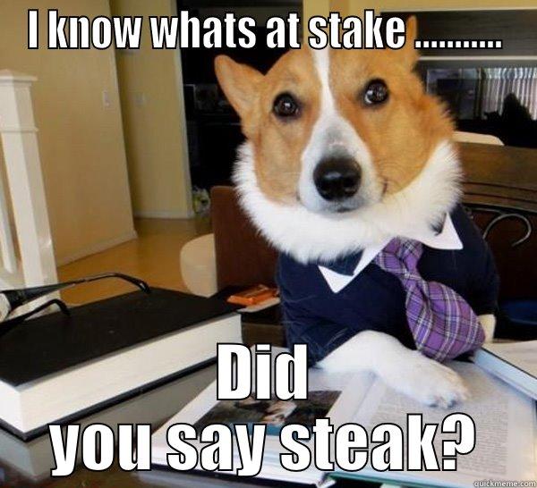 I KNOW WHATS AT STAKE ........... DID YOU SAY STEAK? Lawyer Dog