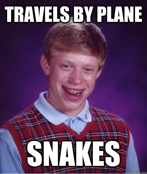 travels by plane snakes  Bad Luck Brian