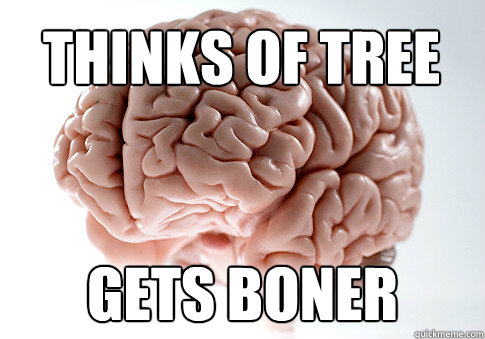 Thinks of tree   gets boner   Scumbag Brain