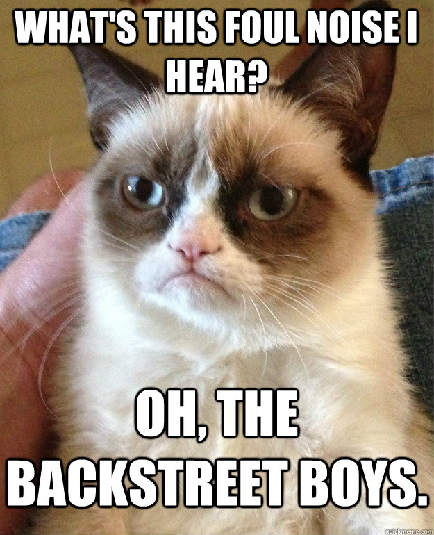 What's this foul noise I hear? Oh, the backstreet boys.   Grumpy Cat